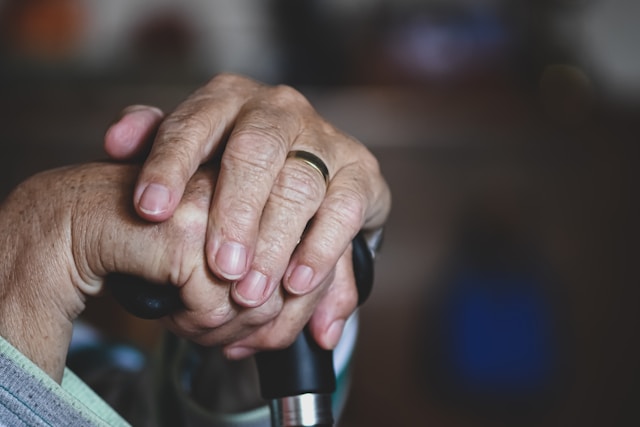 Domiciliary Care Services